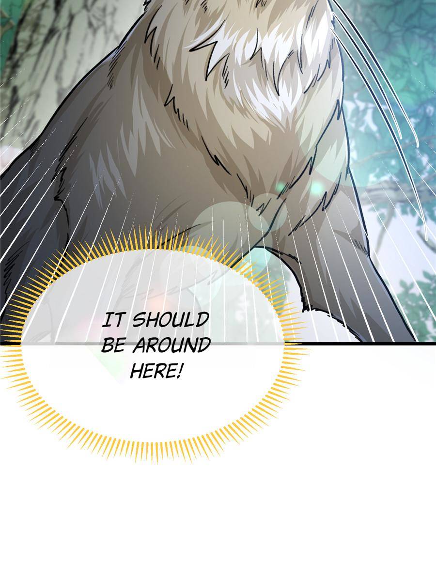 76599955 900 1166 109378